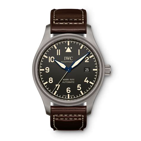 iwc titanium watches